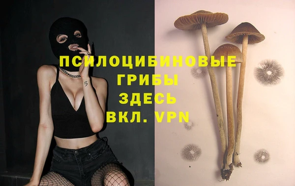 скорость Каменка