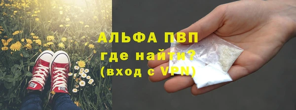 скорость Каменка