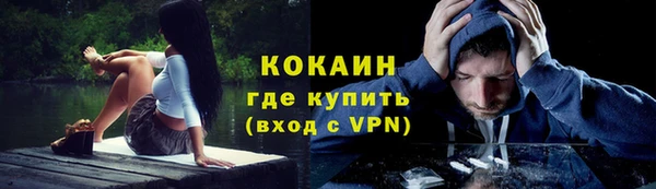 шишки Карталы