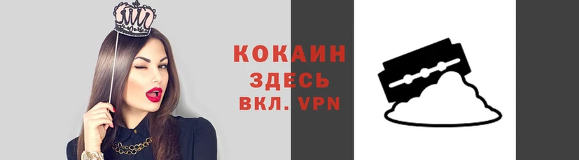 мяу мяу мука Каменск-Шахтинский