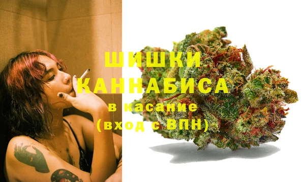 гидропоника Каменногорск