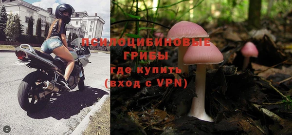 гидропоника Каменногорск