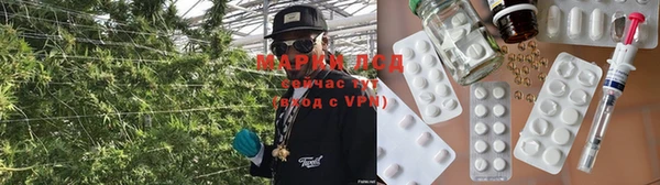 скорость Каменка