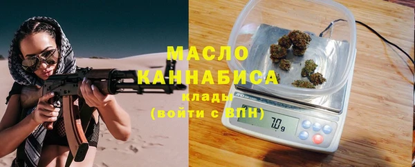 скорость Каменка
